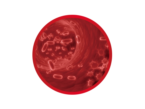 血流感染症候群病原微生物(wù)基因检测系列